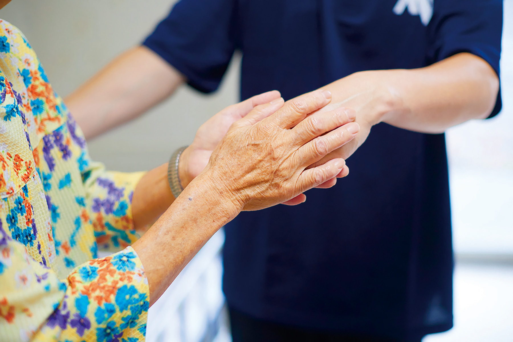 我が家（わがや）