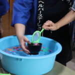 金魚すくい